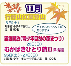 11月